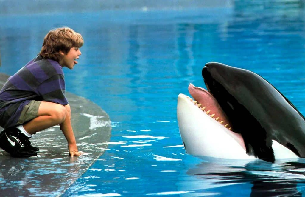4 Free Willy