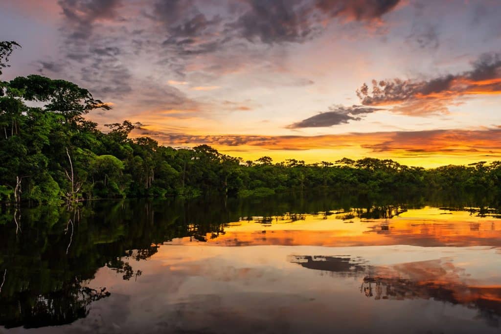 A Amazônia é a maior floresta tropical do planeta e esconde uma série de lendas e mistérios, muitos que ainda estão sem resposta