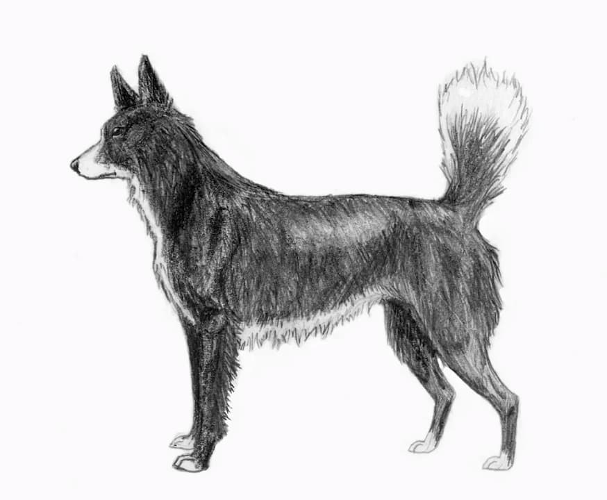 Tahltan
